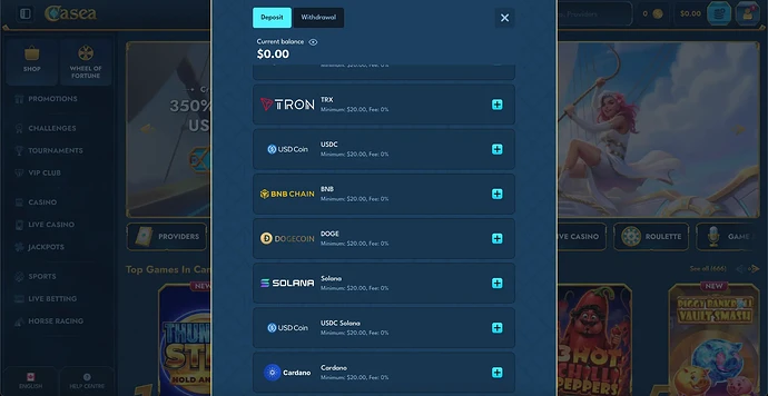 01-casea-casino-registration-payment-screen